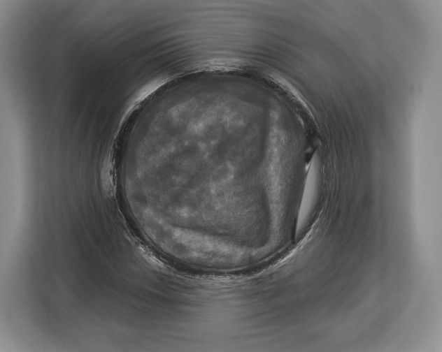 X0000113051018200909171537