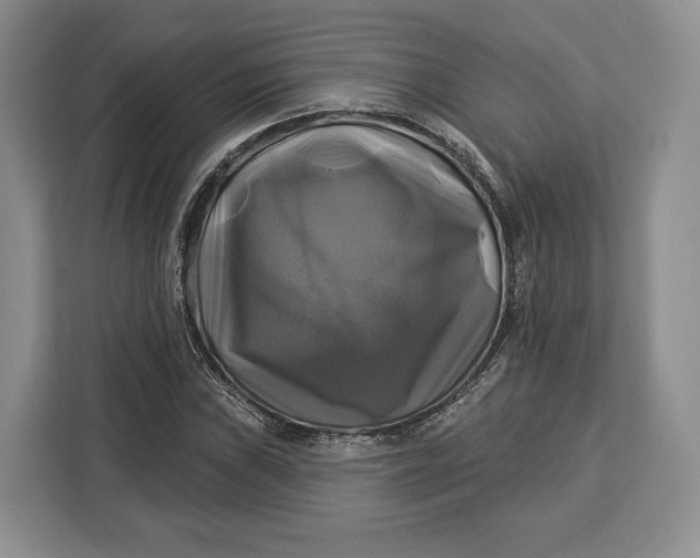 X0000113051019200909171537