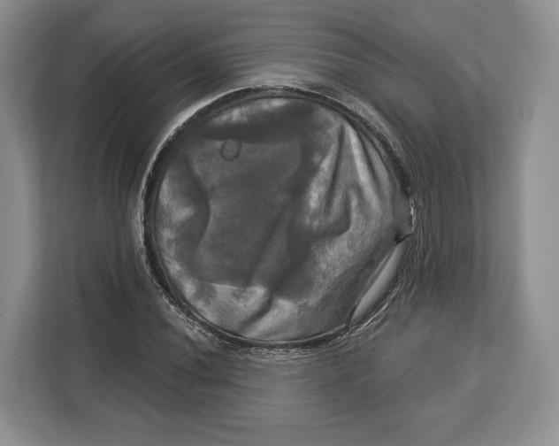 X0000113051020200909171537