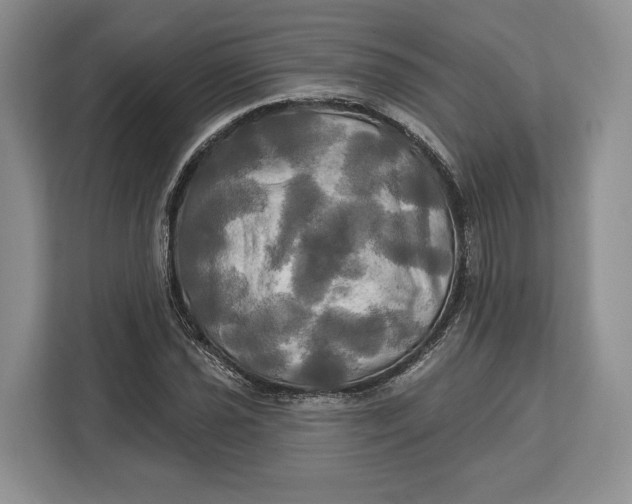 X0000113051021200909171537