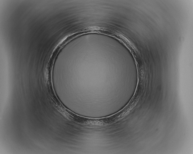 X0000113051023200909171537