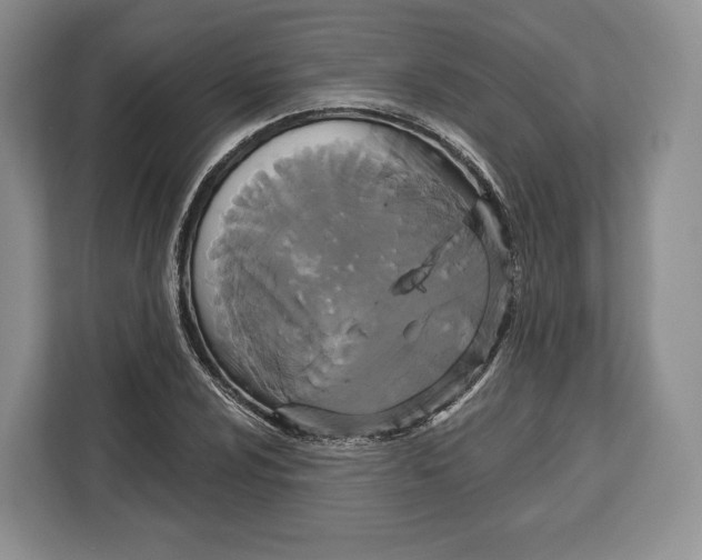 X0000113051024200909171537