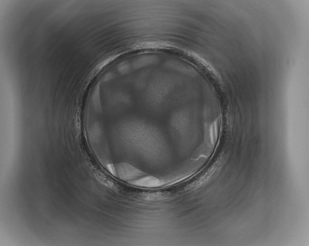 X0000113051025200909171537