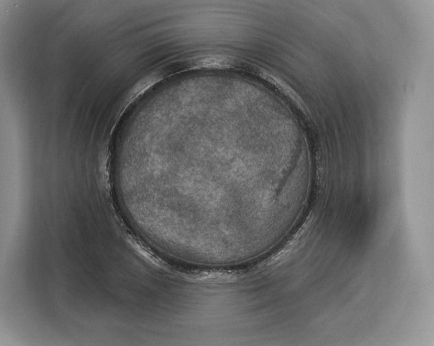 X0000113051026200909171537