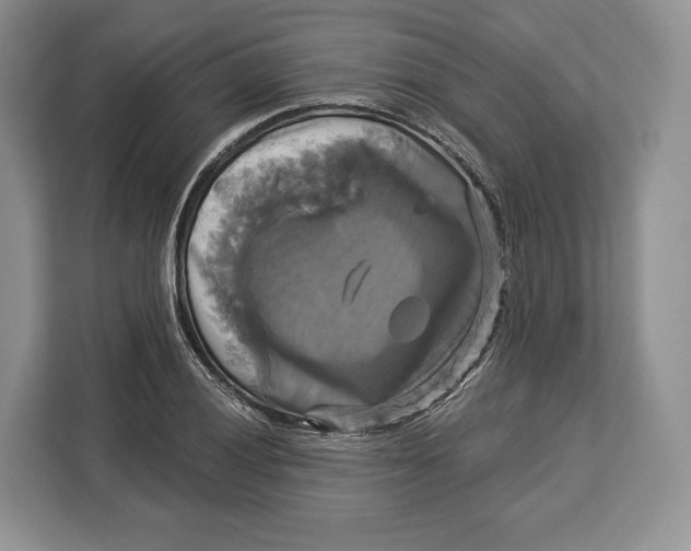 X0000113051028200909171537