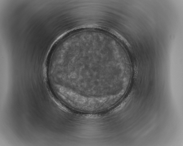 X0000113051029200909171537