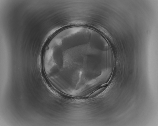 X0000113051030200909171537