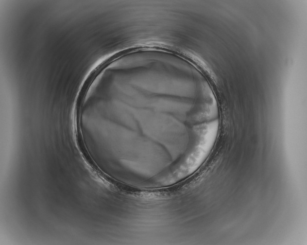 X0000113051032200909171537