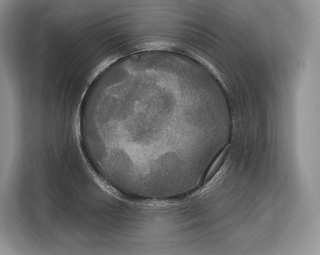 X0000113051034200909171537