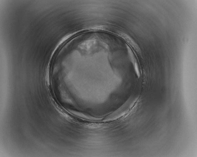 X0000113051036200909171537