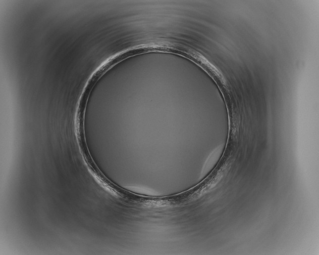 X0000113051037200909171537