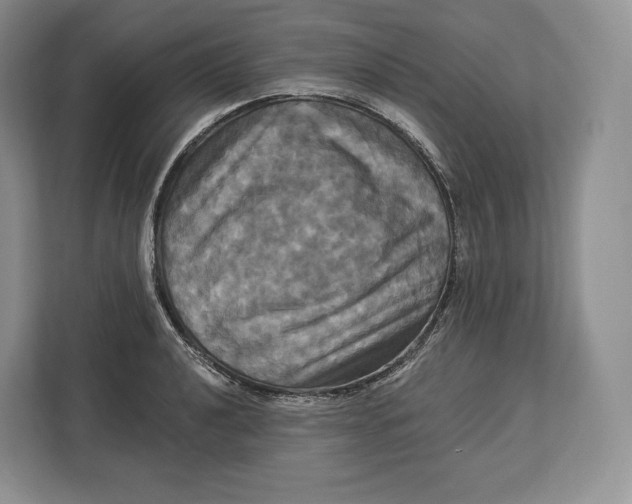 X0000113051040200909171537