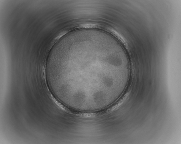 X0000113051041200909171537