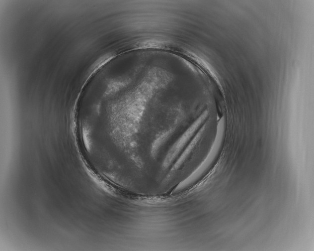 X0000113051042200909171537