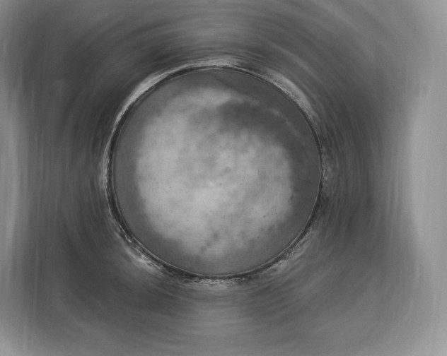 X0000113051044200909171537