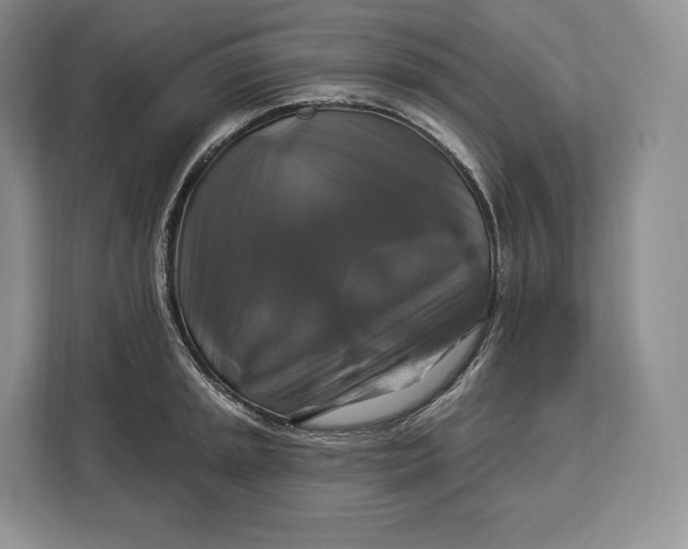 X0000113051045200909171537