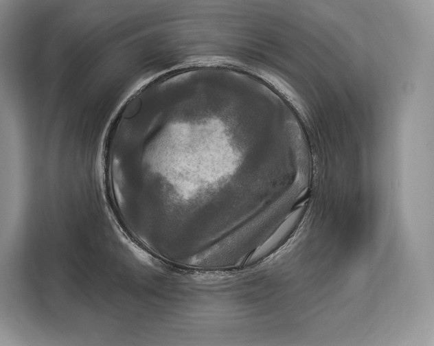 X0000113051046200909171537