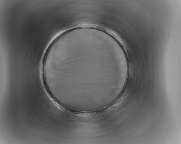 X0000113051048200909171537