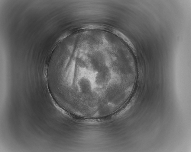 X0000113051049200909171537