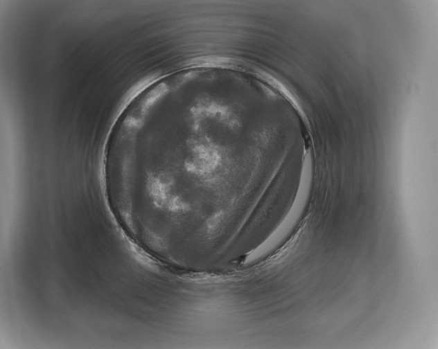 X0000113051050200909171537