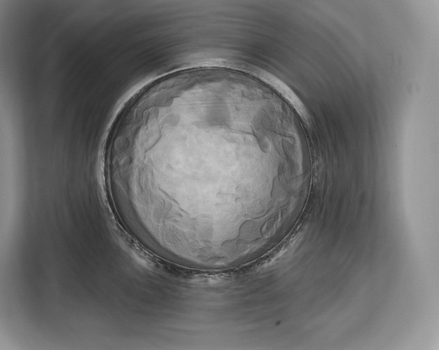 X0000113051051200909171537