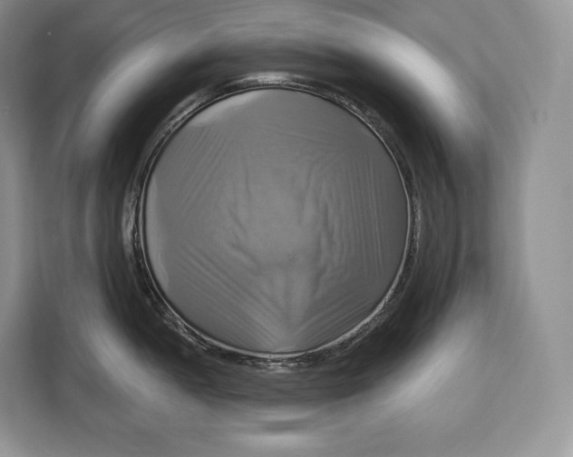 X0000113051052200909171537