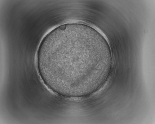 X0000113051053200909171537