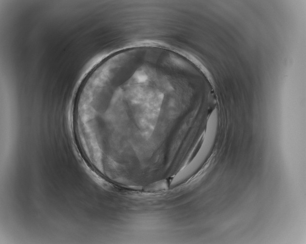 X0000113051054200909171537