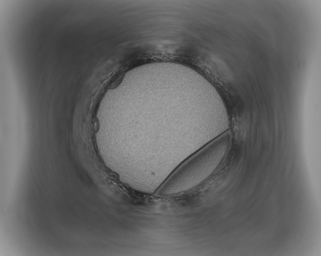 X0000113051057200909171536