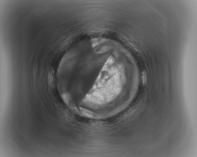 X0000113051059200909171536