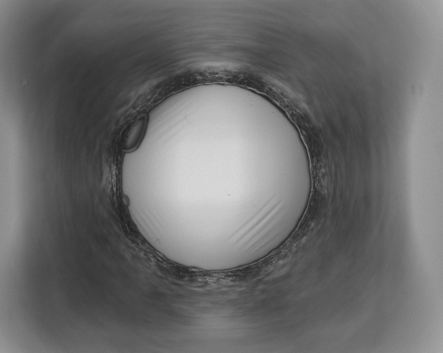 X0000113051061200909171536