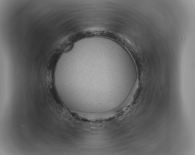 X0000113051062200909171536