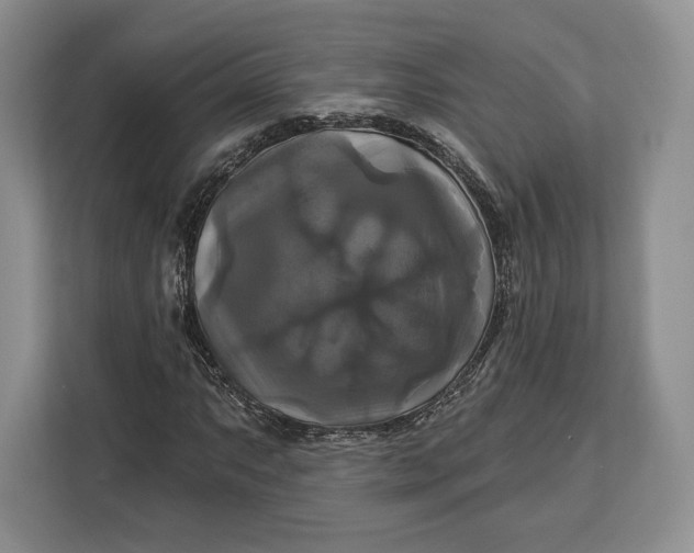 X0000113051063200909171536