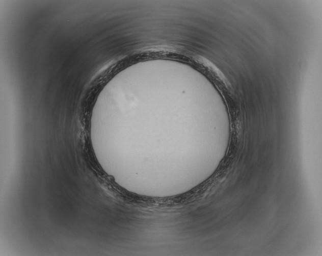 X0000113051064200909171536