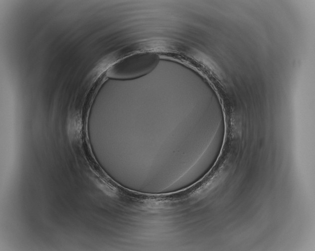 X0000113051065200909171536