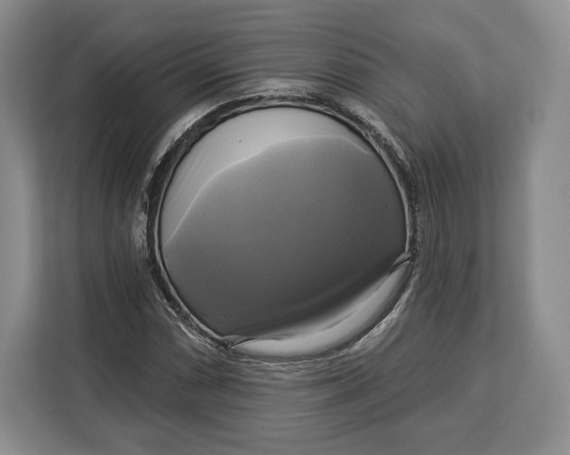 X0000113051066200909171536