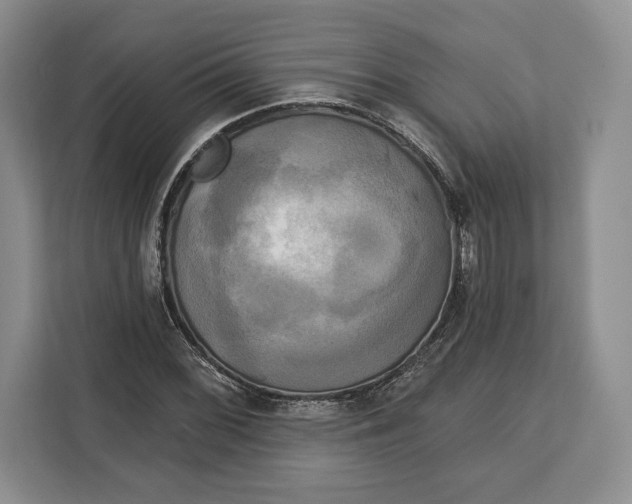 X0000113051068200909171536