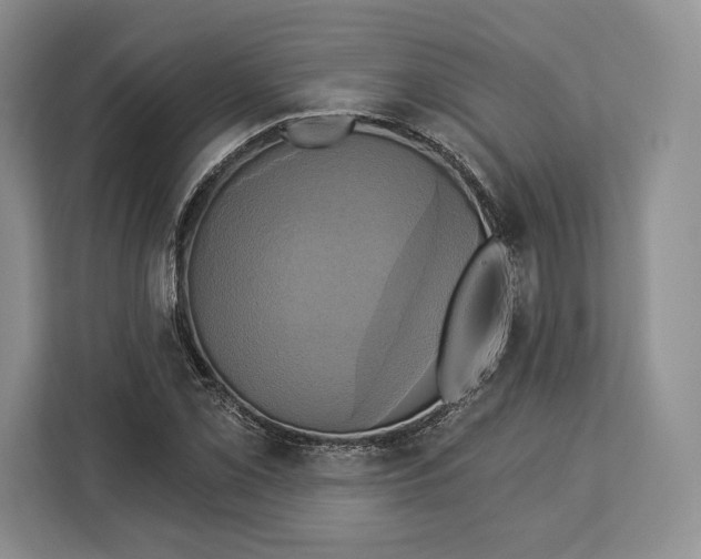 X0000113051069200909171536