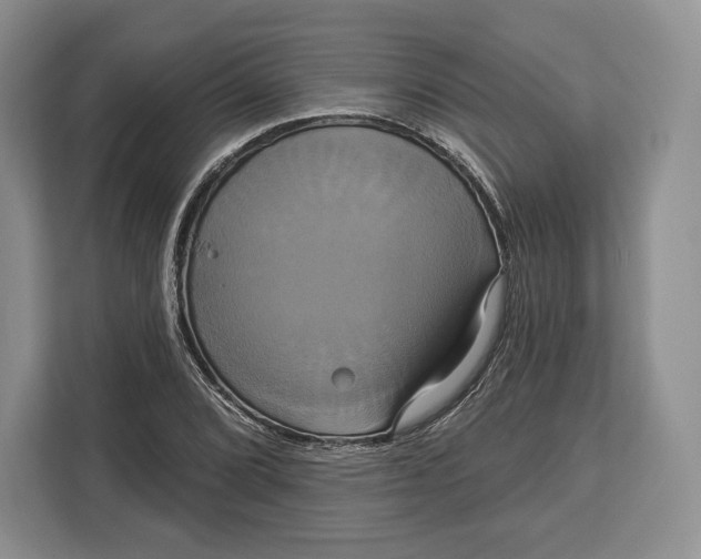 X0000113051072200909171536