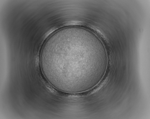 X0000113051073200909171536