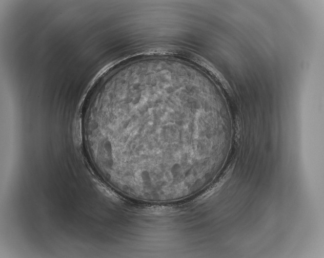 X0000113051075200909171536