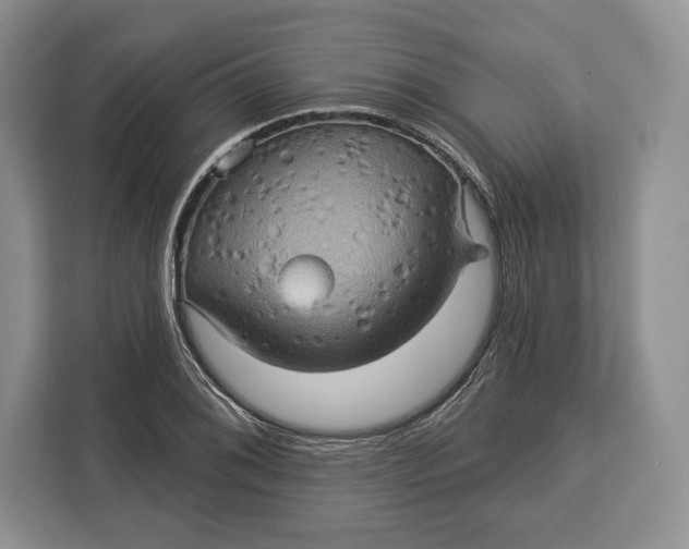 X0000113051076200909171536