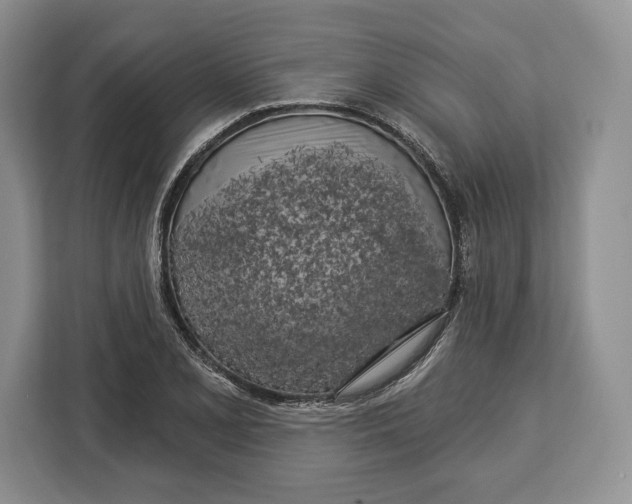 X0000113051077200909171536