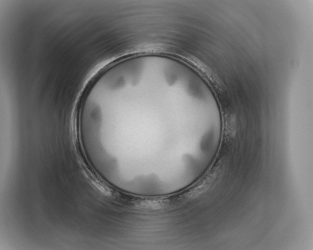 X0000113051078200909171536