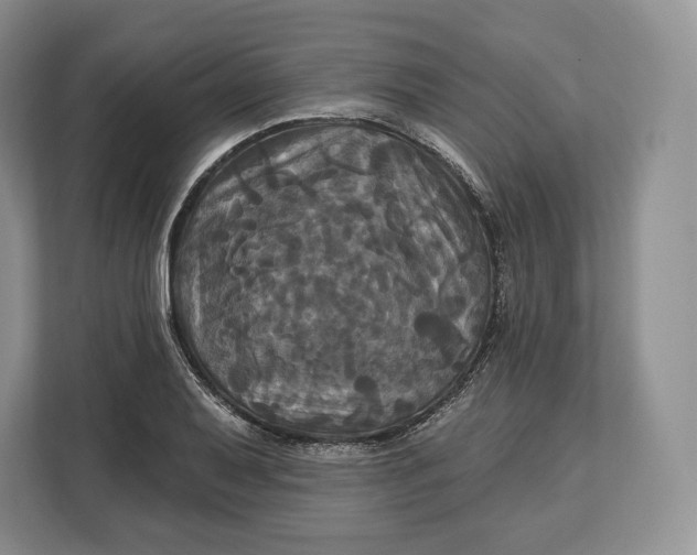 X0000113051079200909171536