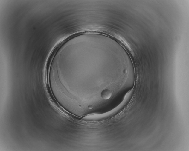 X0000113051080200909171536