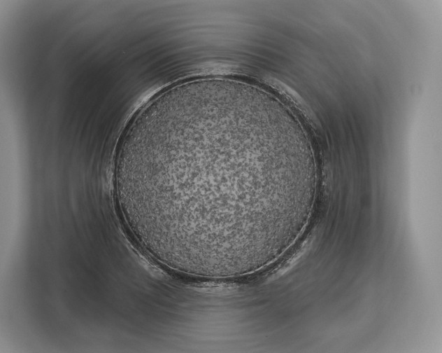 X0000113051081200909171536