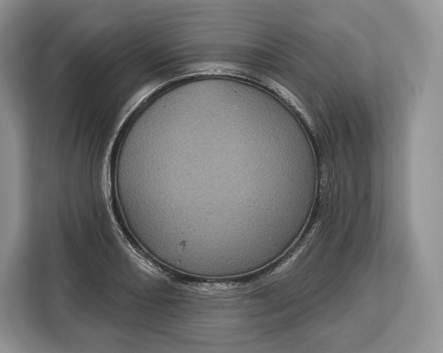 X0000113051082200909171536