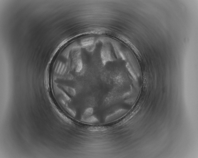 X0000113051083200909171536