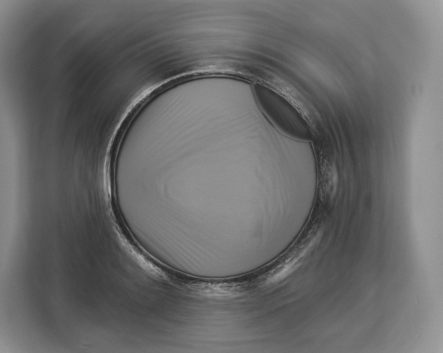 X0000113051084200909171536